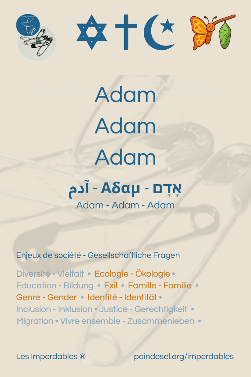 Adam — carte 2